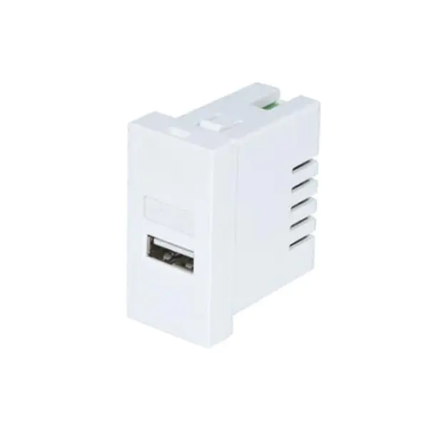 Ibudo Nikan Iru A Usb Ṣaja Socket Module